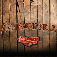 Los Broncos del Norte - Arrinconamela