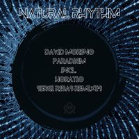 David Moreno - Paradigm