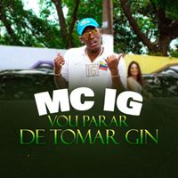 Mc IG - Vou Parar de Tomar Gin