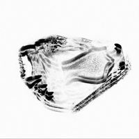 nara is neus - ansatz (unreleased tracks)