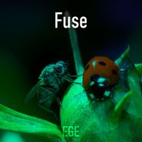 Ege - Fuse