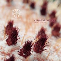 Cesare vs Disorder - Wide Close Up EP
