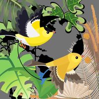 Stevan story - Kicau Burung Kapas Tembak Untuk Masteran Burung Murai