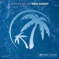 Another Big Cat - New Sunset