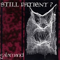 Still Patient? - Salamand