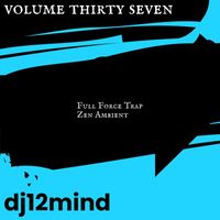 dj12mind - Volume Thirty Seven