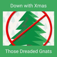 Those Dreaded Gnats - Down with Xmas (Remix)