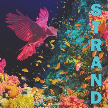 STRAND - Strand