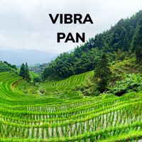Vibra - pan
