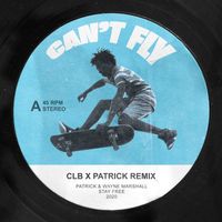 Wayne Marshall - Can't Fly (CLB & Patrick Remix)