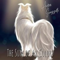 Andres Guazzelli - The Sum of All Colors