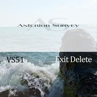 VS51 - Exit Delete