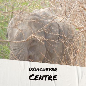 Various Artists - Whichever Centre