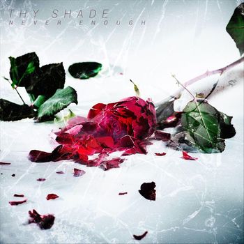 Thy Shade - Never Enough