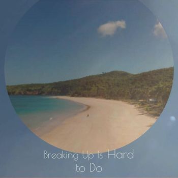Various Artist - Breaking Up Is Hard to Do