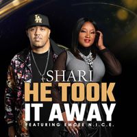 Shari - He Took It Away