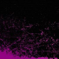 Assad - Purple Dreams