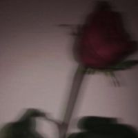 Kitsune - Rose (Explicit)