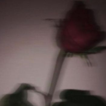 Kitsune - Rose (Explicit)
