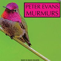 Peter Evans - Murmurs