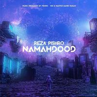 Reza Pishro - Namahdood