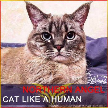 Northern Angel - Cat Like a Human