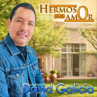 David Galicia - Hermoso Es el Amor