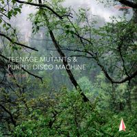 Teenage Mutants & Purple Disco Machine - Get Lost
