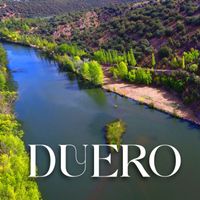 Rolas - Duero