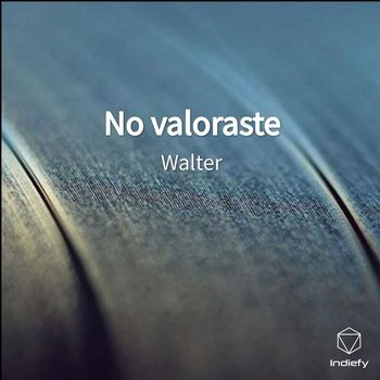 Walter - No valoraste