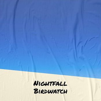Various Artists - Nightfall Birdwatch