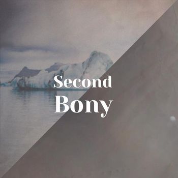 Various Artists - Second Bony
