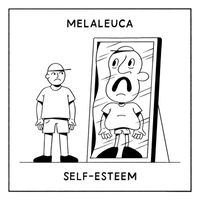Melaleuca - Self-Esteem
