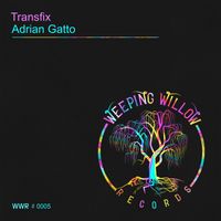 Adrian Gatto - Transfix