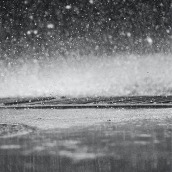 Serenity - Rain