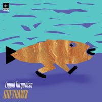 Greyhawk - Liquid Turquoise