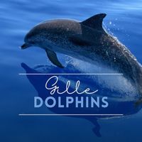GILLE - Dolphins