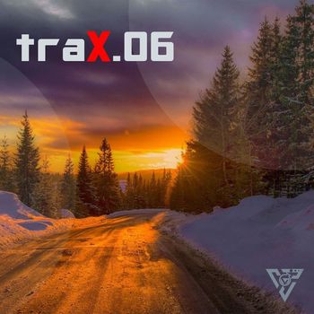 Various Artists - TRAX.06