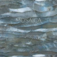 Stefan Truyman - Mosaica