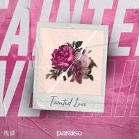 Palma - Tainted Love