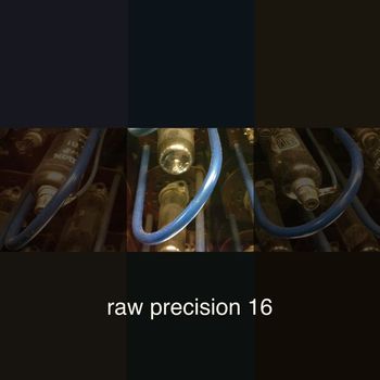 Various Artists - Raw Precision 16