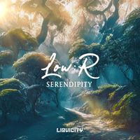 Low:r - Serendipity