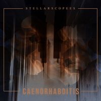 Stellarscopees - Caenorhabditis
