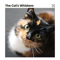 Cat Music - The Cat's Whiskers