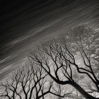 Green Hollow - sycamore