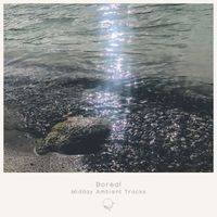 Boreal - Midday Ambient Tracks