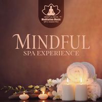 Mindfulness Meditation Music Spa Maestro - Mindful Spa Experience (Soothing Melodies for Meditative Practices and Full-body Relaxation)