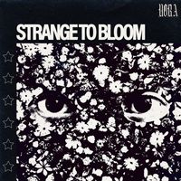 Nora - Strange to Bloom