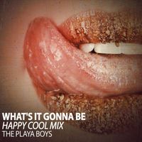 The Playa Boys - What's It Gonna Be (Happy Cool Mix)