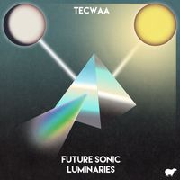 Tecwaa - Future Sonic Luminaries